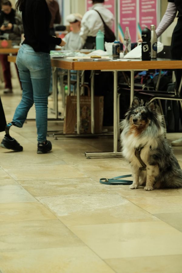Assistenzhund: Ein Assistenzhund sitzt angeleint auf dem Boden im Lichthof der UZH, im Hintergrund stehen Menschen an einem Infotisch.